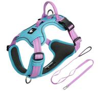Este arnés y Correa para Perros está diseñado específicamente para Labrador Retriever. Incluye un arnés Ajustable y Resistente a los tirones con una Correa de 1,5 Metros. Blue S