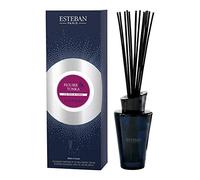 Esteban Elessens Ramo de la Perfumado Figuier & Tonka Higo & Tonka Jarrón de Vidrio con Recarga de 150 ML y Palillos en Rota Negro Novedad