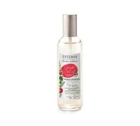 Esteban Granada y lima vaporizador spray para ambientes 100 ml
