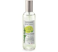Esteban Paris Citronelle et Menthe - Citronella y menta, spray para ambiente (100 ml, fabricado en Francia)
