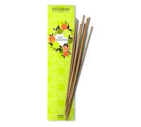 Esteban Paris - Incienso indio Terre d 'Agrumes 20 Varillas