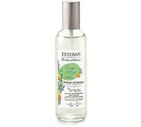 Esteban Paris Orange & Thè Vert Orange E Thè Green Spray para ambiente 100 ml Made in France