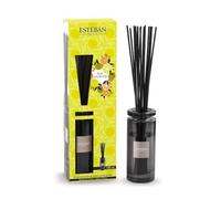 Esteban Paris - Ramo perfumado Initial - Terre D'Agrumes - Recargable - 100 ml
