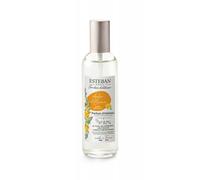 Esteban Paris Vaporizador Spray Perfume 100Ml Ámbar Y Bálsamos