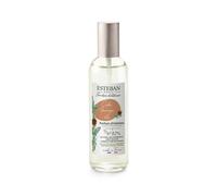 Esteban Paris Vaporizador Spray Perfume 100Ml Cedro Salvaje