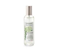 Esteban Paris Vaporizador Spray Perfume 100Ml The En Fleur