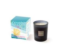 ESTEBAN PARIS Ylang Ylang - Vela aromática (170 g)