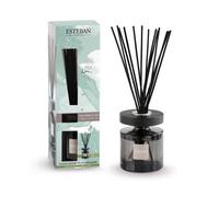 Estéban Ramo perfumado Ellipse Pu Lin Lino Puro con palillos y recarga 100 ml