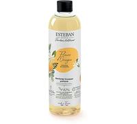 Esteban - Recambio para ramo perfumado, 250 ml