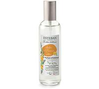 ESTEBAN Vaporizzatore 100ml - Ambre et Baumes