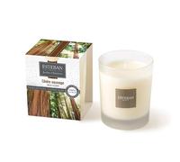 Esteban - Vela aromática de cedro salvaje