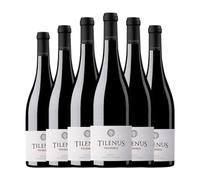 Estefanía Tilenus Vendimia Mencía Bierzo 75 cl Vino tinto (Caja de 6 Botellas de 75 cl)