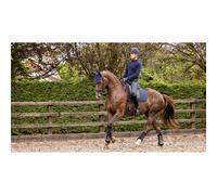 Estera antideslizante para doma de caballos LeMieux Soft Shell TU