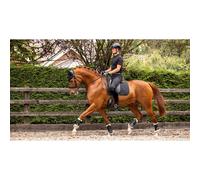 Estera antideslizante para doma de caballos LeMieux Soft Shell TU