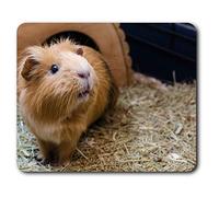 Estera cómoda del ratón - Adorable jengibre hámster 23.5 x 19.6 cm (9.3 x 7.7 pulgadas) para la computadora y el ordenador portátil, oficina, regalo, base antideslizante - RM3820