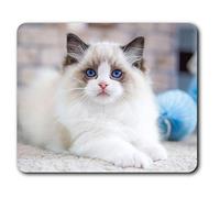 Estera cómoda del ratón - blanco lindo gatito mullido del gato 23.5 x 19.6 cm (9.3 x 7.7 pulgadas) para la computadora y el ordenador portátil, oficina, regalo, base antideslizante - RM3402