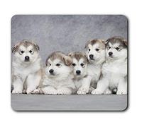 Estera cómoda del ratón - Cachorros Malamute de Alaska del perro de perrito 23.5 x 19.6 cm (9.3 x 7.7 pulgadas) para la computadora y el ordenador portátil, oficina, regalo, base antideslizante - RM16236