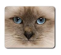 Estera cómoda del ratón - Gato observado azul del gatito birmano 23.5 x 19.6 cm (9.3 x 7.7 pulgadas) para la computadora y ordenador portátil, oficina, regalo, antideslizante base - RM14552