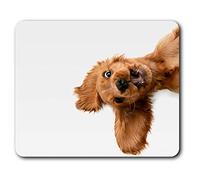 Estera cómoda del ratón - Perro Cachorro Cocker Spaniel Inglés 23.5 x 19.6 cm (9.3 x 7.7 Pulgadas) para la computadora y el Ordenador portátil, Oficina, Regalo, Base Antideslizante - RM21501