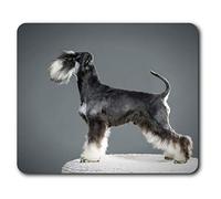 Estera cómoda del ratón - perro de perrito del Schnauzer miniatura 23.5 x 19.6 cm (9.3 x 7.7 pulgadas) para la computadora y el ordenador portátil, oficina, regalo, base antideslizante - RM21888