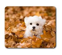 Estera cómoda del ratón - perro de Terrier de montaña del oeste linda del perrito de Westie 23.5 x 19.6 cm (9.3 x 7.7 pulgadas) para la computadora y el ordenador portátil, oficina, regalo, base antideslizante - RM24424