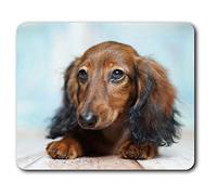 Estera cómoda del ratón - perro lindo del perrito del Dachshund Diversión 23.5 x 19.6 cm (9.3 x 7.7 pulgadas) para la computadora y el ordenador portátil, oficina, regalo, base antideslizante - RM2017
