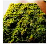 Estera de Rocas de Musgo Artificial Alfombra de Hierba Falsa Mini Micro Paisaje Decoración Musgo Alfombras Adecuado para Terraza de Jardín de Patio de Casa (Color : B, Size : 100x100cm)