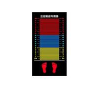 Estera de Salto de Longitud, Estera de Entrenamiento para niños, Estera de Ejercicio alfombrada Antideslizante, Almohadilla de Entrenamiento físico Resistente al Desgaste para niño