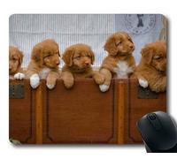 Estera del ratón del Juego, Perro, Costura de la precisión, cojín de ratón Durable