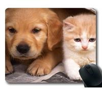 Estera del ratón para Juegos, Perro Pastor alemán Perro y Gato Divertidos, Costura de precisión, Alfombrilla de ratón Duradera