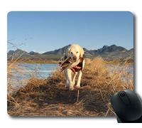 Estera del ratón para Juegos, Shih Tzu Dog, Costura de precisión, Alfombrilla de ratón Duradera