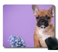 Estera del ratón para Juegos, Shih Tzu Dog, Costura de precisión, Alfombrilla de ratón Duradera