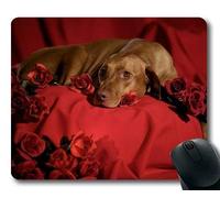 Estera del ratón para Juegos, Shih Tzu Dog, Costura de precisión, Alfombrilla de ratón Duradera