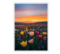 Estética Arte de lienzo del cielo de la Hora Dorada Vibrante de lienzo de campo de tulipanes Arte mural de flores primaverales coloridas Paisaje Póster sin enmarcar Decoración impresa 50x75cm