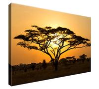Estika Lienzo Cuadros Sabana, Acacia, Puesta de sol 60 x 40 cm, Impresión artística de 1 pieza Murales de salón, dormitorio, decoración de pared moderna, Imagen sobre lienzo África Imágenes