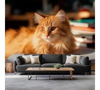 Estilo De Fotografía Papel Tapiz Fotográfico Animal Gato Naranja Fotomurale 350 x 256 cm, Art Mural Amarillo Papel Pintado Fotomural - Cafe Restaurant Dormitorio Hoga Murales Decoración