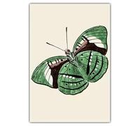 Estilo moderno vintage mariposas coloridas ciencia animal y educación cartel lienzo pintura arte mural impresiones imagen decoración del hogar sin marco-E_40x50cm
