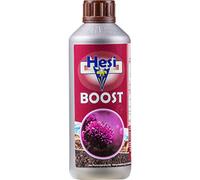 Estimulante Floraison Hesi Boost - 500 ml