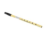Estink Irish Tin Whistle Tuning Flaute para Amantes de la Música, Principiantes, Material de Metal ABS (Tune C)