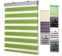 Estor Enrollable de Doble Capa, 110x160cm fácil instalación Estores térmicos Blackout Incluye Accesorios Protección de Pantalla para Ventanas, Verde