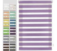 Estor Enrollable Día y Noche 65x160cm Cierra el Paso de la luz Cortina Regulable Estor Enrollable Tejido con Cadena, Protección de Pantalla para Ventanas, Morado