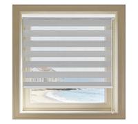 Estor Enrollable Noche y Día 100 x 195 cm Noche y Día Estor Enrollable Proteccion Solar para Ventanas Salon Dormitorio Cocina, Gris Oscuro