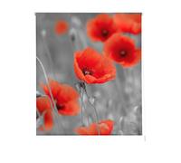 Estoralis Flores y Plantas | Estor Enrollable Diseño Moderno | Translúcido Estampado Digital | Modelo F-1538 | 110 x 180 cm (Ancho/Alto) Tamaño Tela 107 x 175 cm | Estores para Ventanas y Puertas