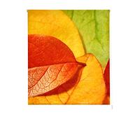 Estoralis Flores y Plantas | Estor Enrollable Diseño Moderno | Translúcido Estampado Digital | Modelo F-1559 | 150 x 180 cm (Ancho/Alto) Tamaño Tela 147 x 175 cm | Estores para Ventanas y Puertas