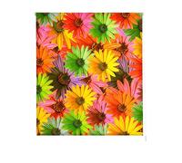 Estoralis Flores y Plantas | Estor Enrollable Diseño Moderno | Translúcido Estampado Digital | Modelo F-833 | 150 x 180 cm (Ancho/Alto) Tamaño Tela 147 x 175 cm | Estores para Ventanas y Puertas