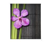 Estoralis | Zen | Estor Enrollable Diseño Moderno | Translúcido Estampado Digital | Modelo Z-1061 | 150 x 255 cm (Ancho/Alto) Tamaño Tela 147 x 250 cm | Estores para Ventanas y Puertas