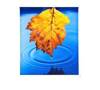 Estoralis | Zen | Estor Enrollable Diseño Moderno | Translúcido Estampado Digital | Modelo Z-4506 | 150 x 180 cm (Ancho/Alto) Tamaño Tela 147 x 175 cm | Estores para Ventanas y Puertas