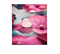 Estoralis | Zen | Estor Enrollable Diseño Moderno | Translúcido Estampado Digital | Modelo Z-4520 | 150 x 180 cm (Ancho/Alto) Tamaño Tela 147 x 175 cm | Estores para Ventanas y Puertas