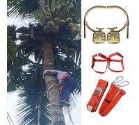 Estos Zapatos multifuncionales para trepar árboles Son Seguros y fiables, Ideales para trepar árboles, Frutas y Postes. Incluyen un Juego de púas y un arnés de Seguridad (Modelo 400).