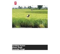 Estratégias de sementeira para o cultivo do arroz: Métodos de plantação e agrometeorologia do arroz